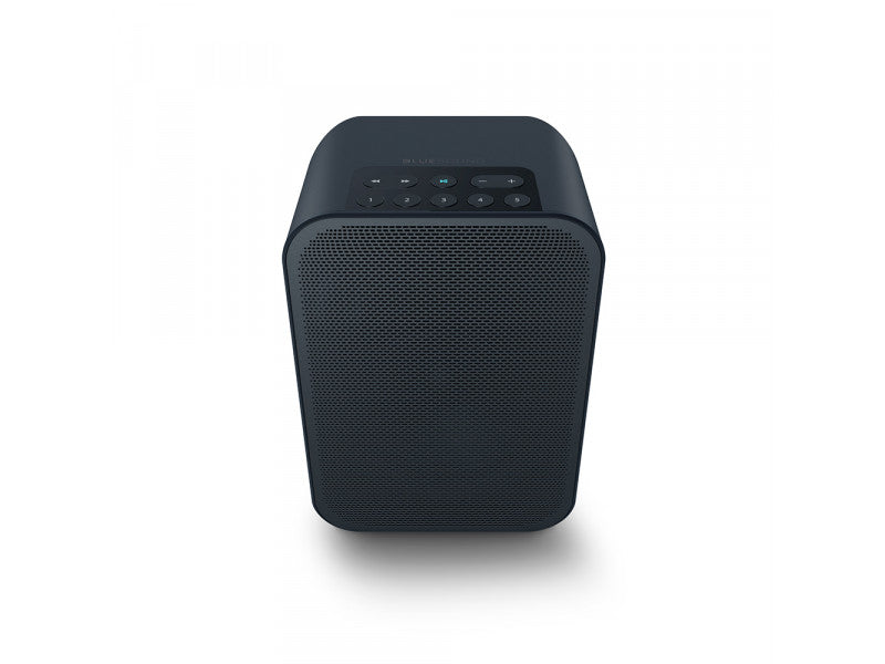 BLUESOUND PULSE FLEX 2i Portable Wireless Multi-Room Music Streaming Speaker - Black